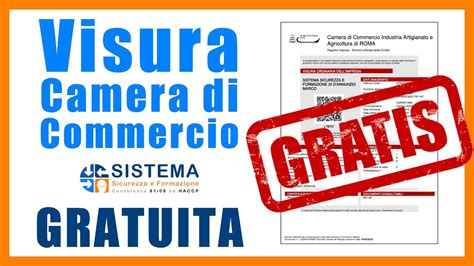 visura camerale gratis con smart card|fotocamera registrazione.